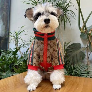 Pawcci Web Stripe Zip Jacket on a dog