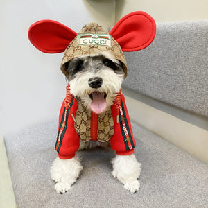 Pawcci Round Ear Hooded Jacket on a dog