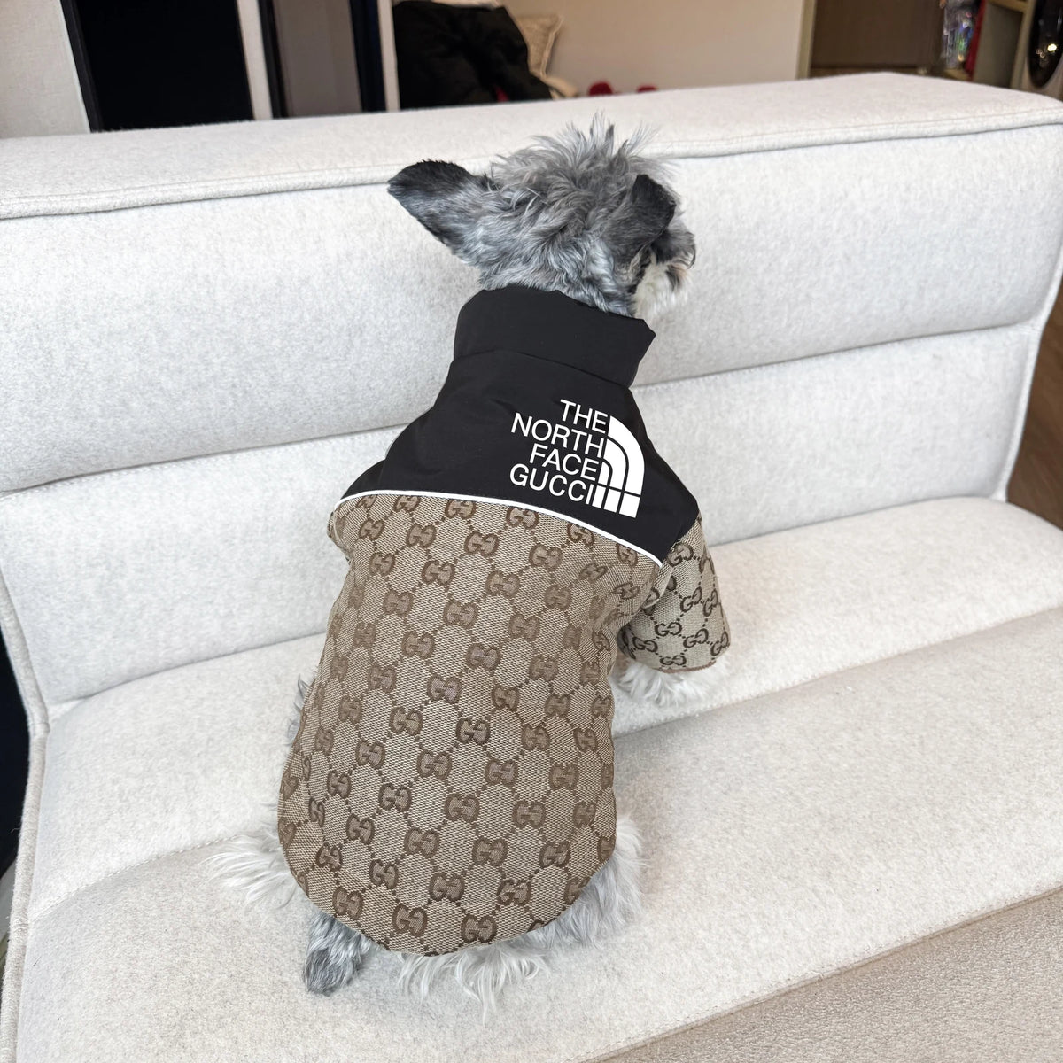 TDF x Pawcci Zip Jacket on a dog