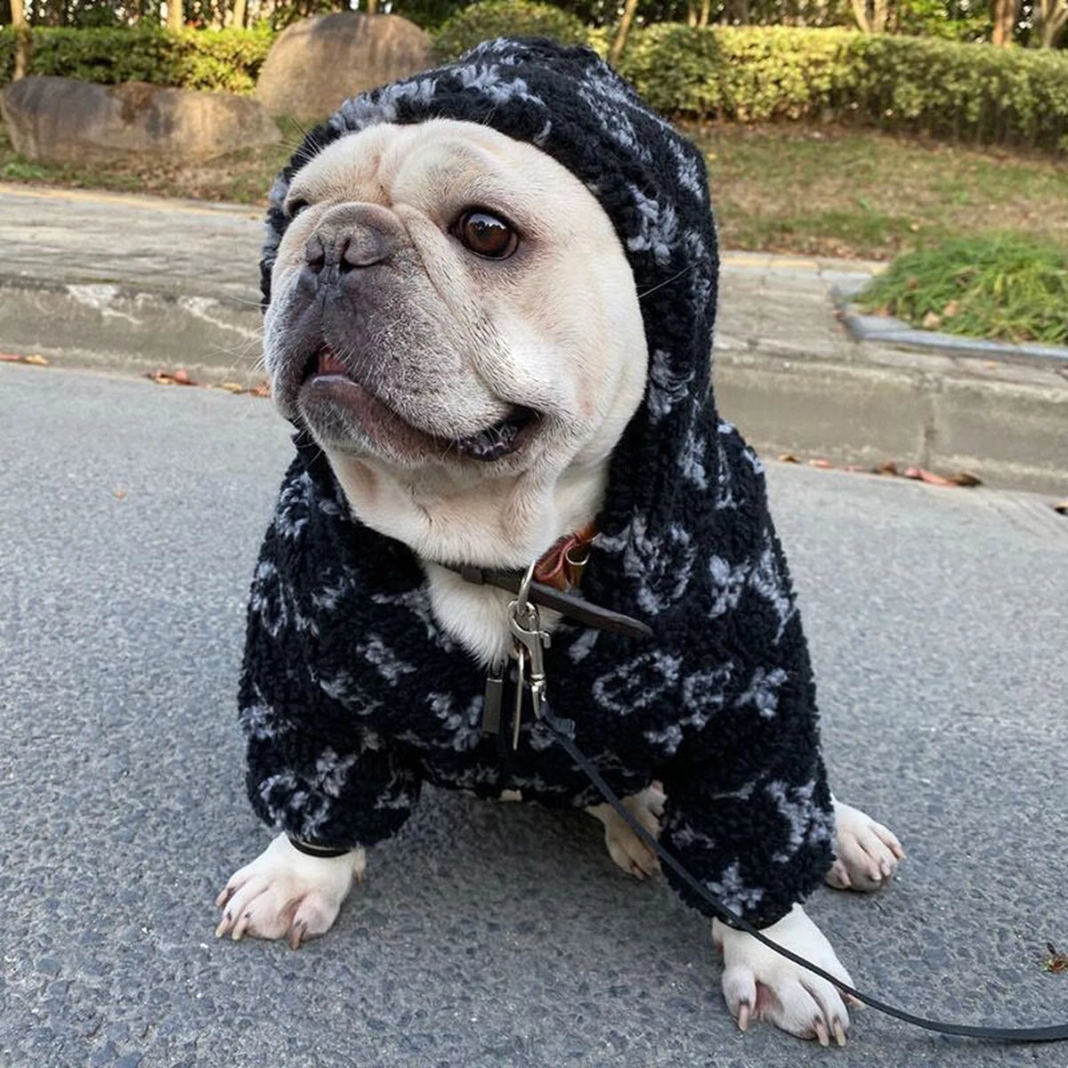 Chewy V Sherpa Hooded Jacket on a dog