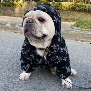 Chewy V Sherpa Hooded Jacket on a dog