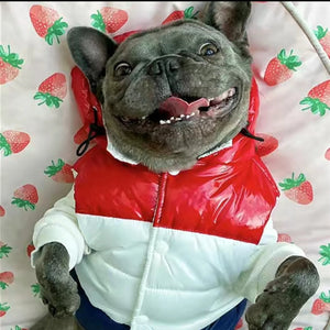 Bonecler Tricolor Puffer Vest on a dog front view