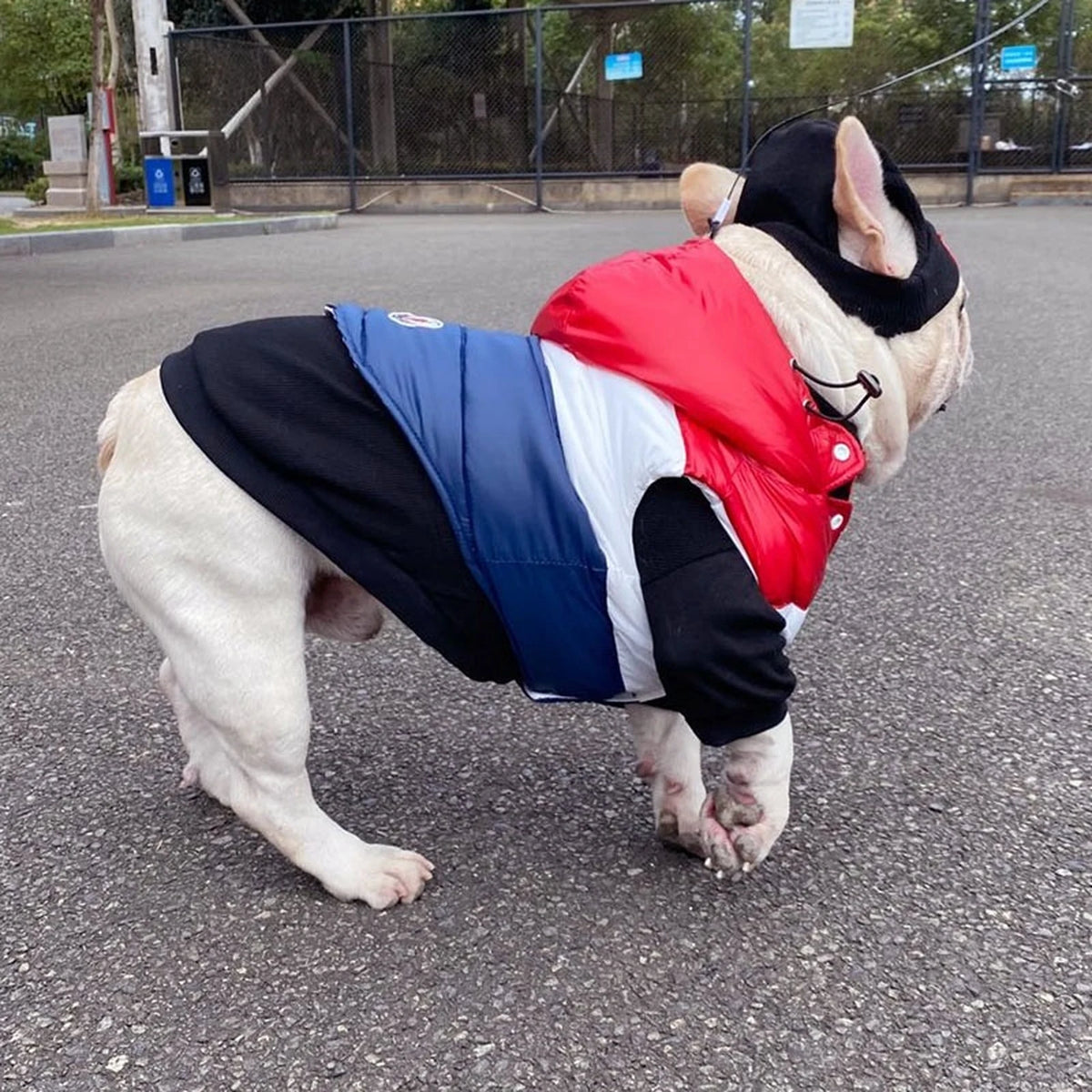 Bonecler Tricolor Puffer Vest on a dog side view