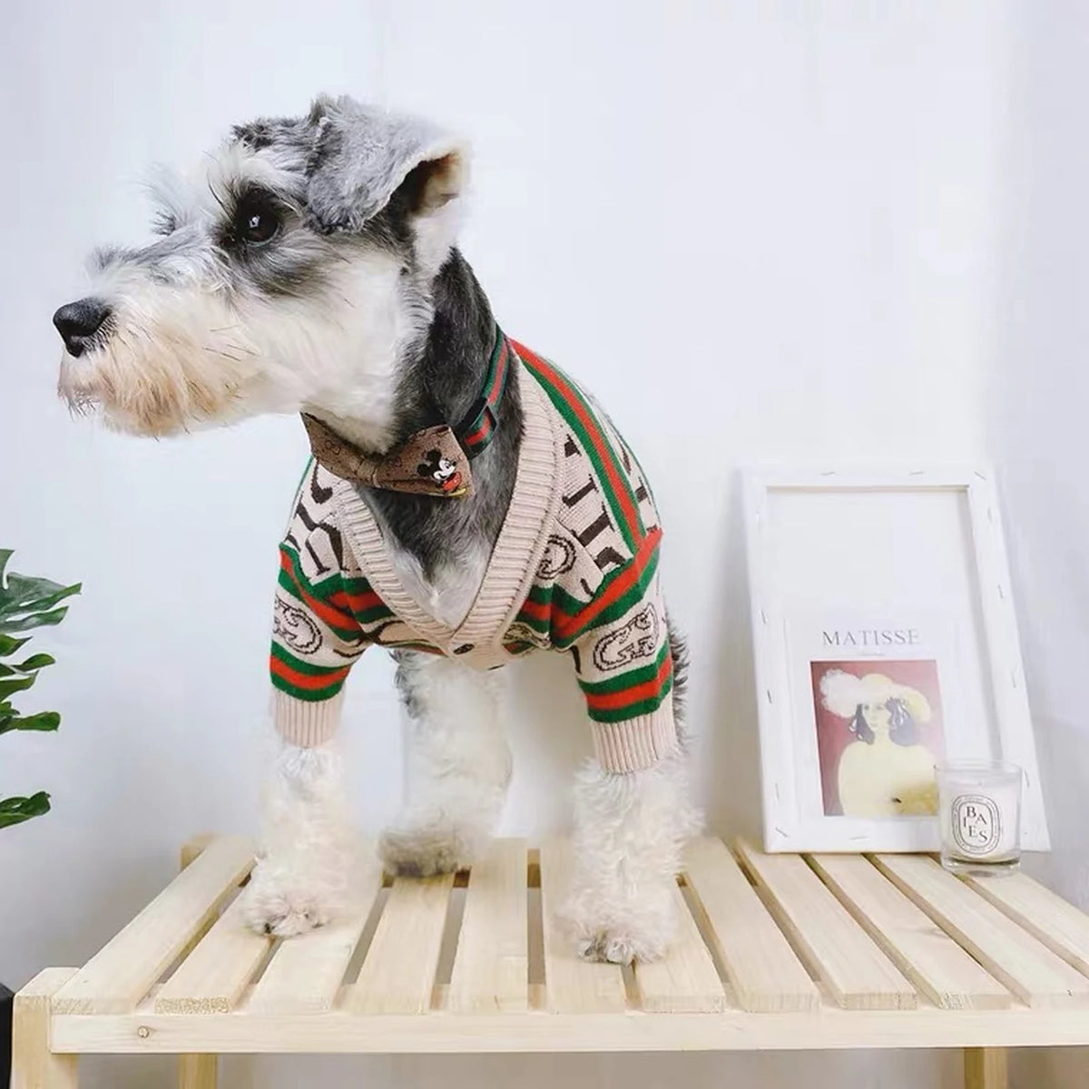 Pawcci Gray Web Stripe Cardigan on a dog