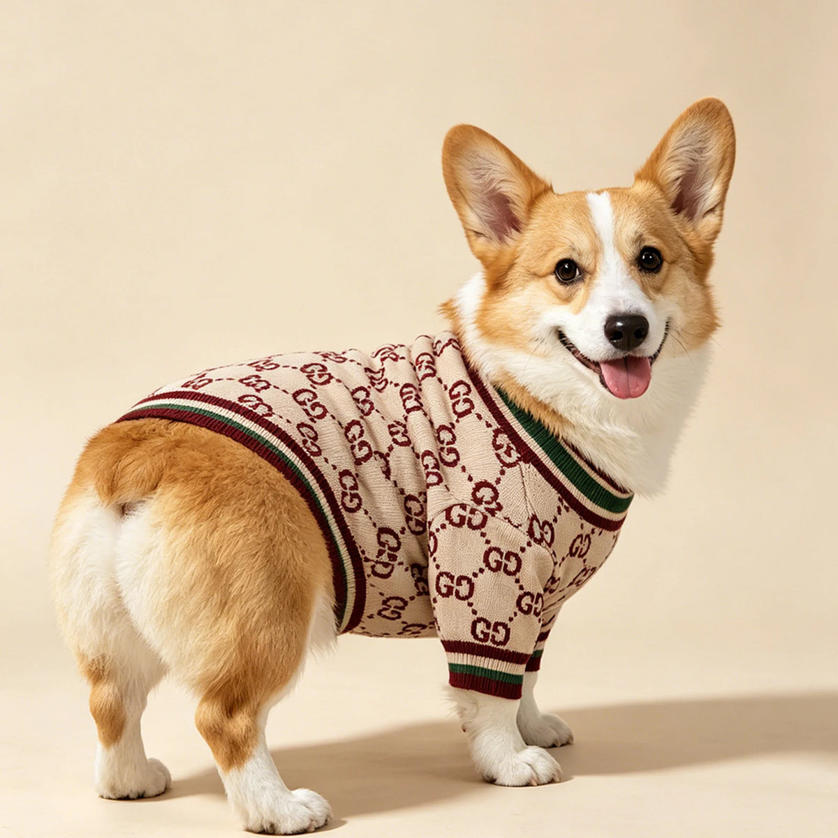 Pawcci Burgundy Monogram Sweater on a dog