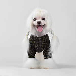 Chewy V Black Monogram Bomber on a dog