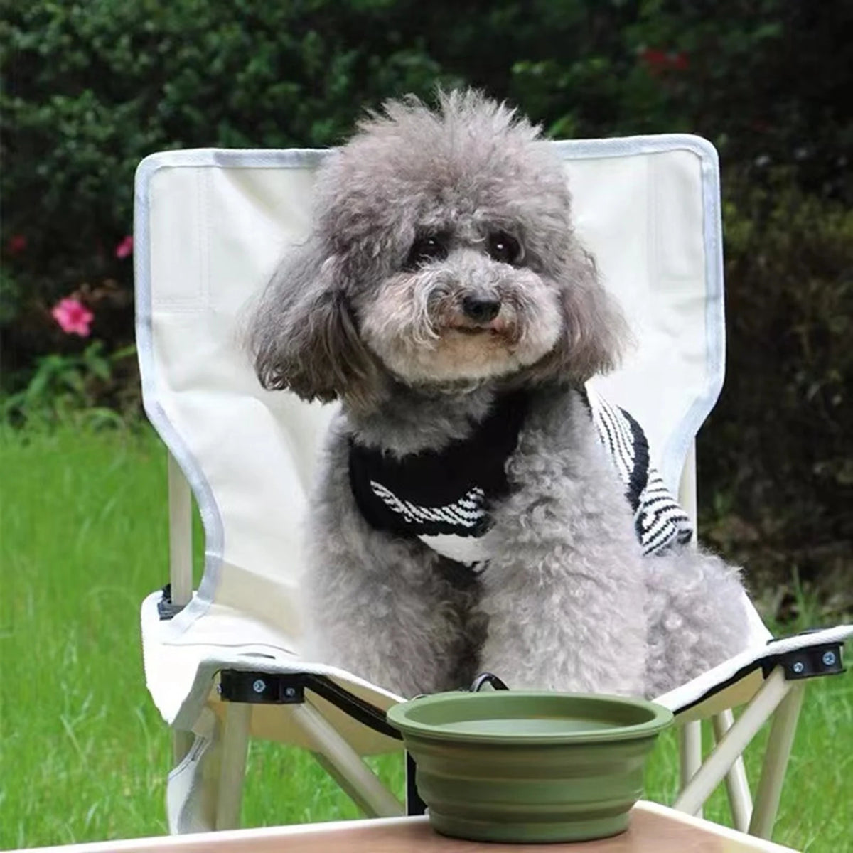 Chewnel Stripe Sweater Vest on a dog