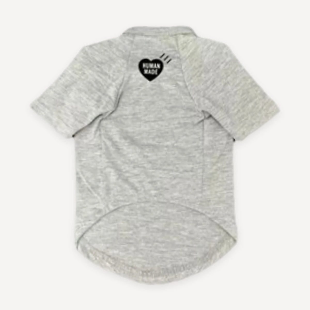 Gray Mountain Graphic dog tee
