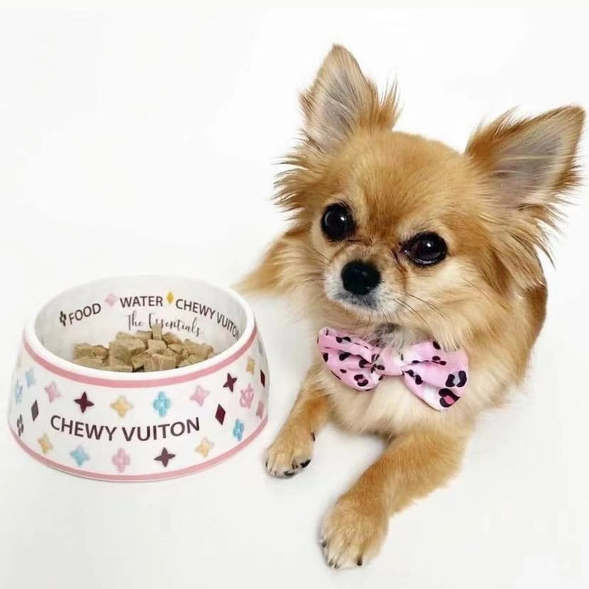 Chewy V Pastel Bowl on a dog