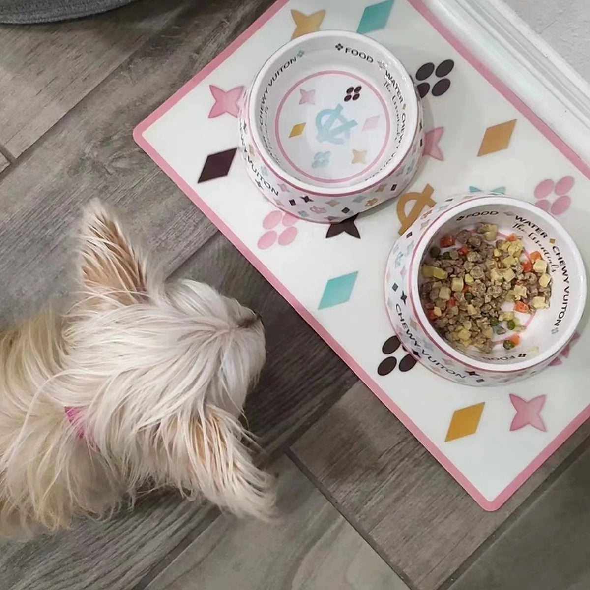 Chewy V Pastel Feeding Mat on a dog