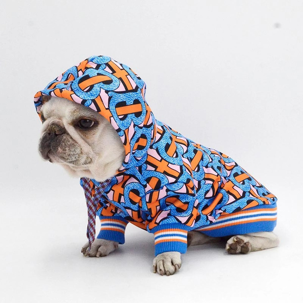 Furberry Monogram Hoodie on a dog