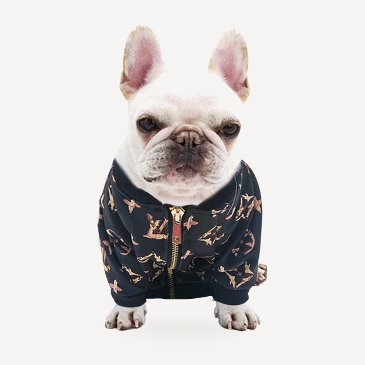 Chewy V Gold Monogram Zip Jacket product view