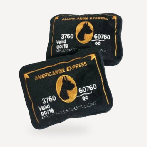 Americanine Express Credit Card Toy