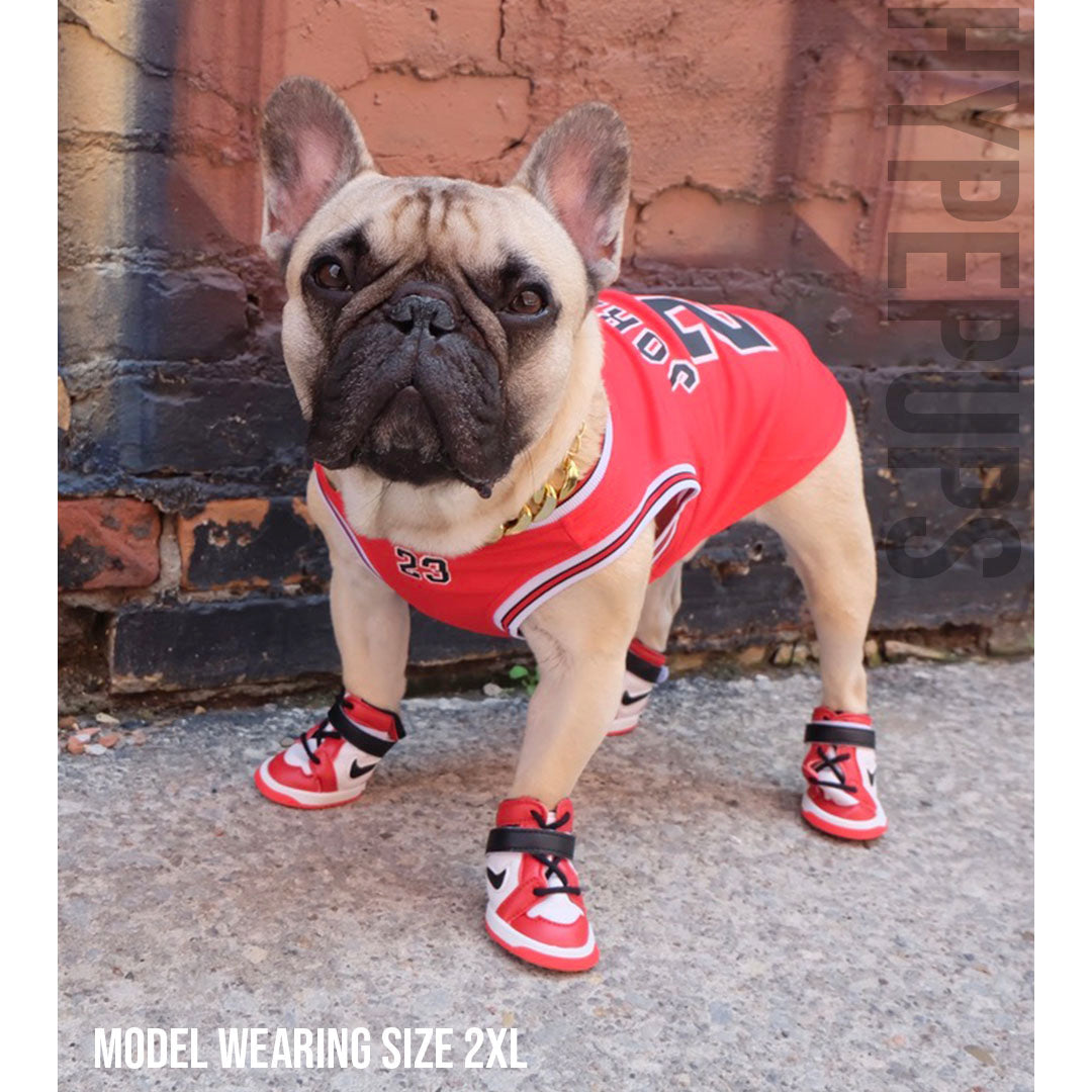 French Bulldog in red mesh basketball jersey showing number 23 on back with Air Bud branding