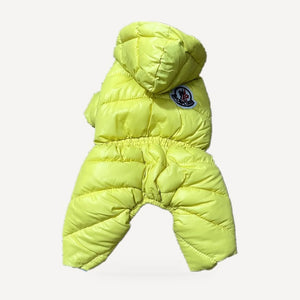 Puffer dog puffer snowsuit inspired by Moncler, yellow, back view