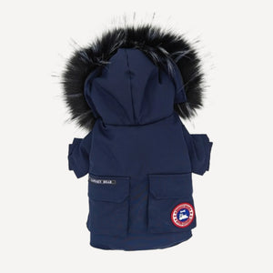 Hooded dog puffer inspired by Canada Goose view 5