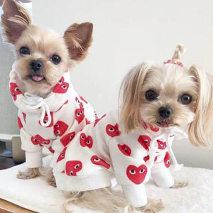 Two small dogs wearing matching white hoodies with red heart eye print CDG style