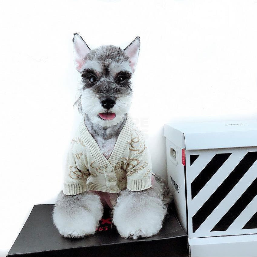 White knit dog sweater with gold Chanel-inspired monogram pattern and luxury design details