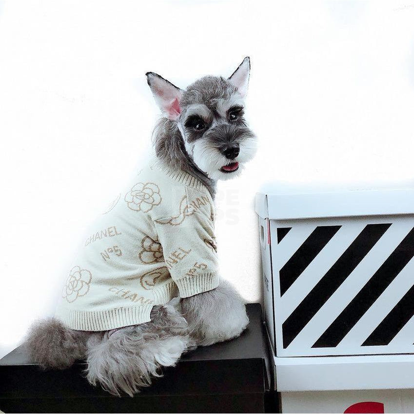 Chewnel No. 5 Sweater Hype Pups designer dog clothes.
