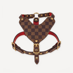 Check Leather Walking dog set inspired by Louis Vuitton view 3