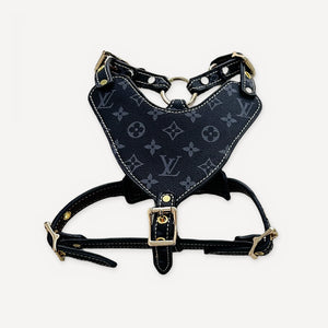 Gold Chain Leather Walking dog set inspired by Louis Vuitton view 28