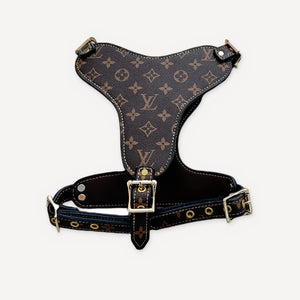 Gold Chain Leather Walking dog set inspired by Louis Vuitton view 32