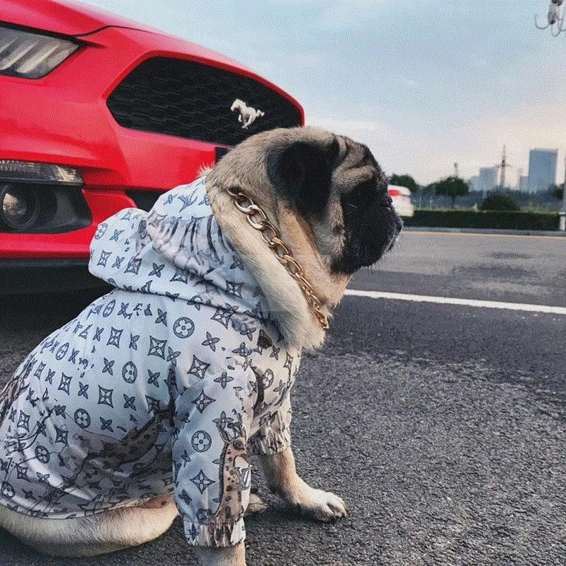 Chewy V Jungle Rain Jacket Hype Pups designer dog clothes.