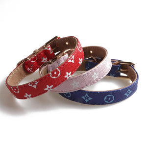 Chewy V Leather Collar & Leash Hype Pups designer dog clothes.