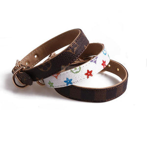 Chewy V Monogram Collar & Leash Hype Pups designer dog clothes.