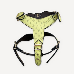 × Pupreme Gold Chain Leather Walking dog set inspired by Louis Vuitton view 7