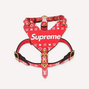 × Pupreme Leather Walking dog set inspired by Louis Vuitton view 3