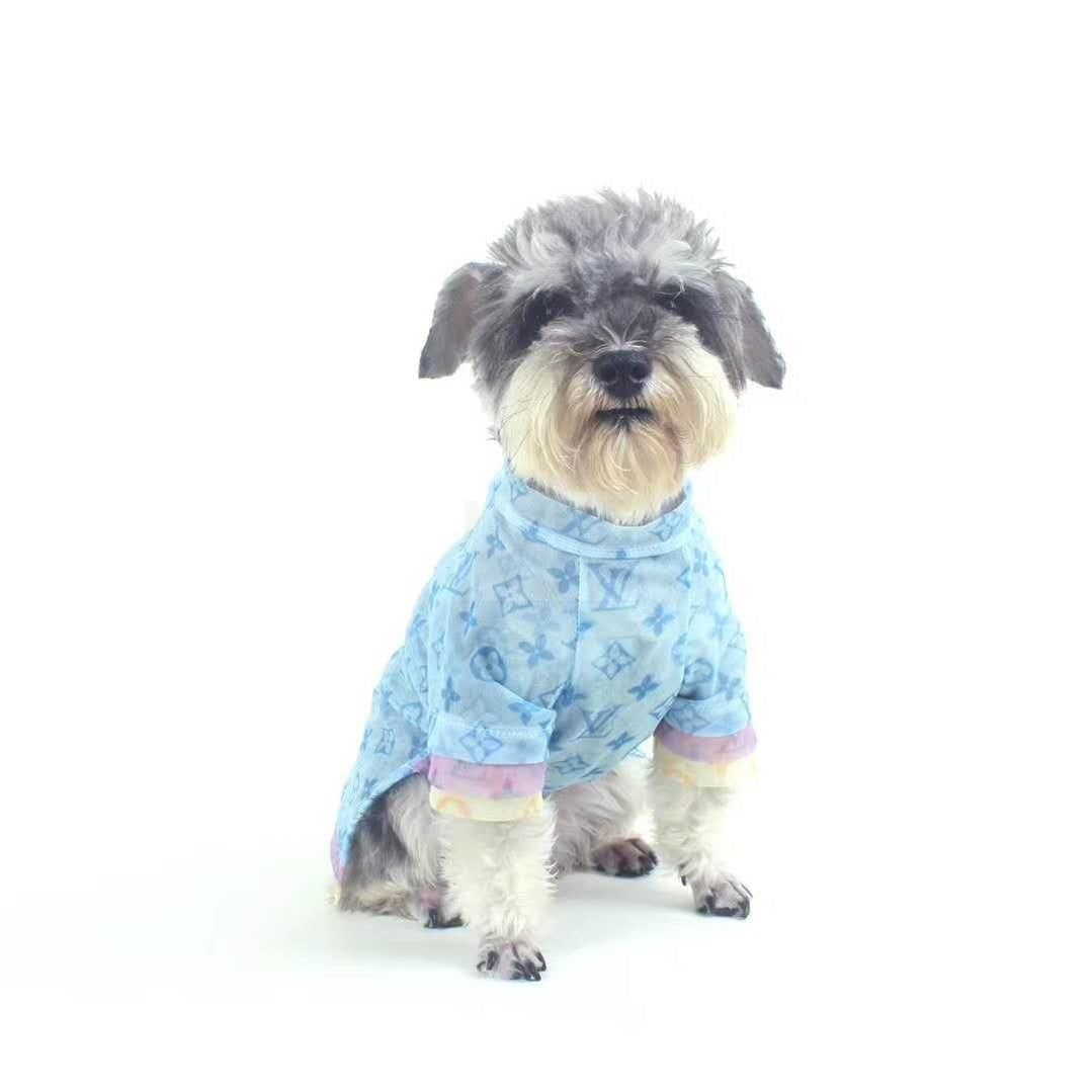 Small dog in blue Chewy V sheer tee with rainbow trim sleeves on white studio background