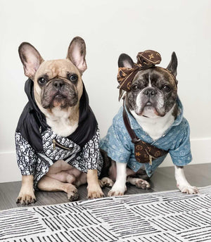 Designer Bum Bags For Dogs Hype Pups designer dog clothes.