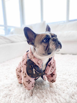 Designer Bum Bags For Dogs Hype Pups designer dog clothes.