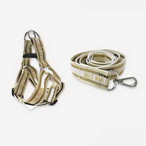 Dreamy Collar Harness Leash dog set inspired by Dior view 4