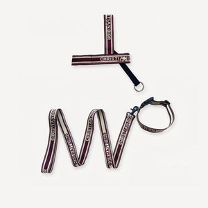 Harness Walking dog set inspired by Dior view 8