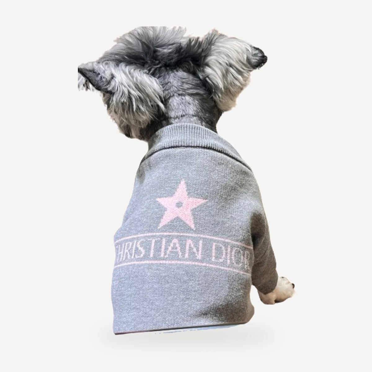 Knit dog sweater inspired by Dior view 3