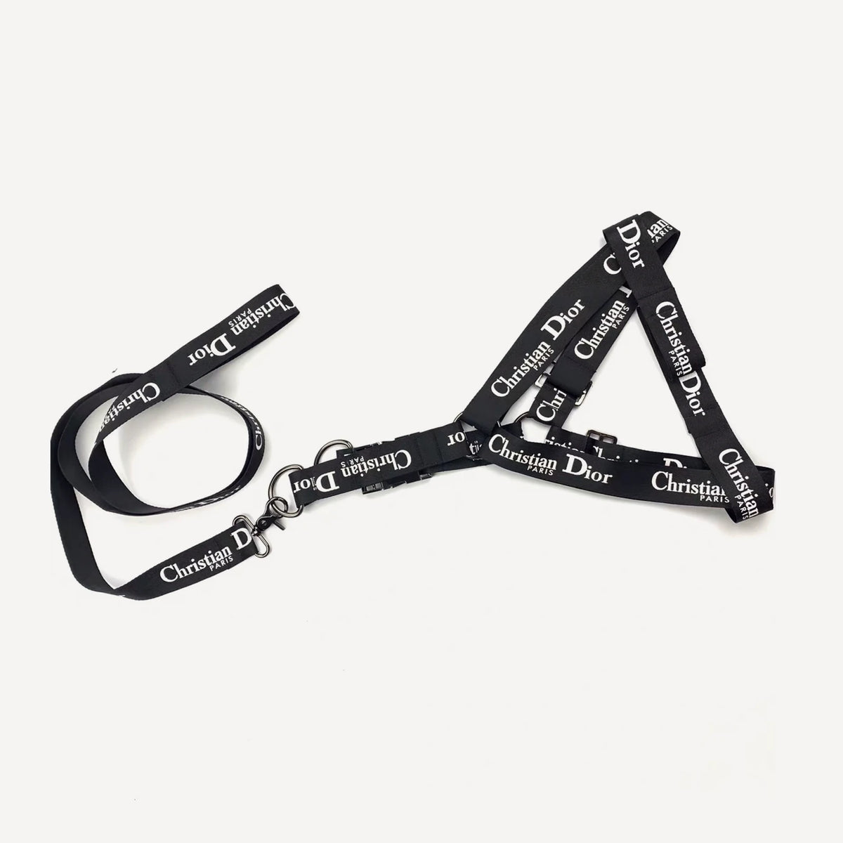 Logo Walking dog set inspired by Dior view 5