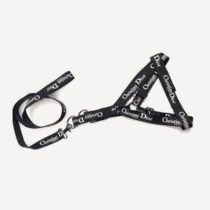 Logo Walking dog set inspired by Dior view 5