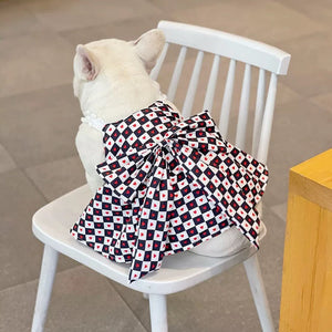 Back view of dog in CDG inspired checkered dress with heart motif sitting on chair