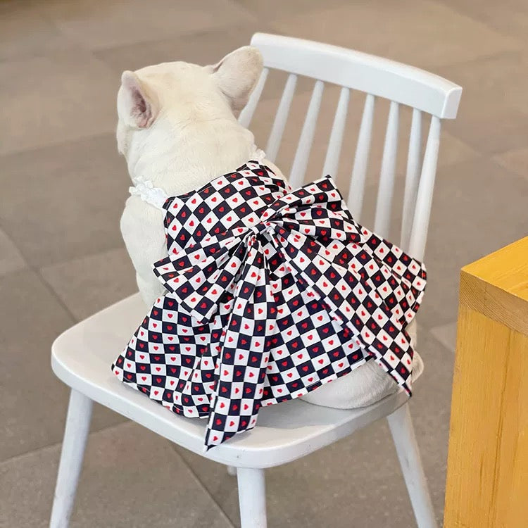 Back view of dog in CDG inspired checkered dress with heart motif sitting on chair