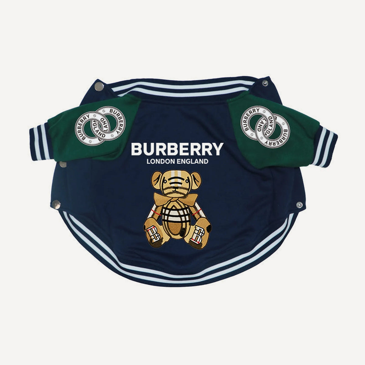 Teddy Bear Varsity dog jacket inspired by Burberry view 4