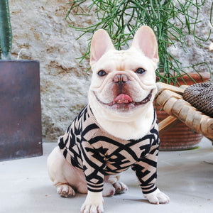 French Bulldog wearing brown Furdi monogram sweater Fendi inspired outdoor setting