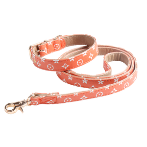 Orange V monogram dog collar and leash set designer walking gear flat lay