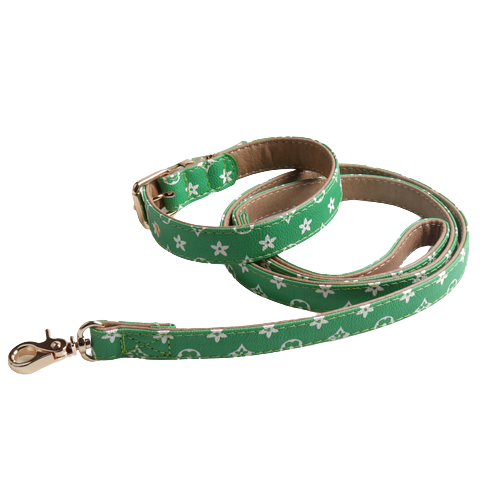Green V monogram dog collar and leash set luxury dog accessories