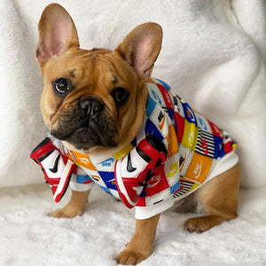 French bulldog wearing multicolor Nike inspired patchwork sweatshirt on white background