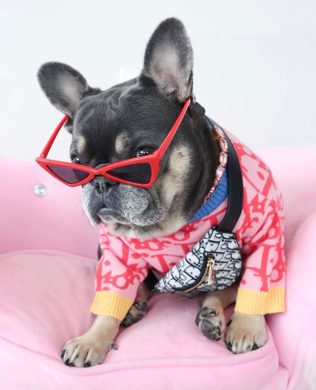 French Bulldog in pink Dogior oblique print sweater with sunglasses on pink background