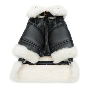 Black faux leather dog jacket with white shearling trim Chrome Hearts inspired