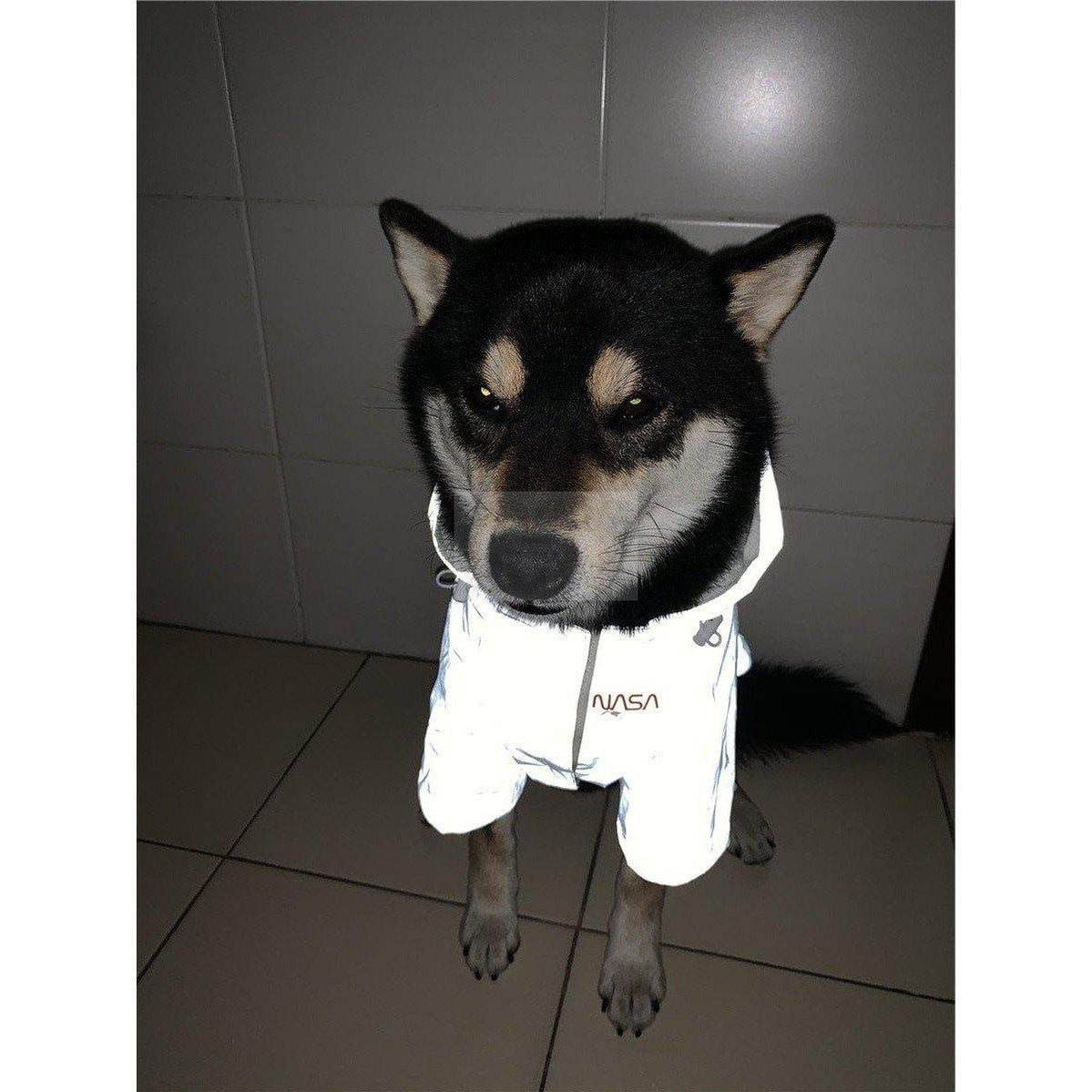 Nasa 3m Reflective dog windbreaker view 3