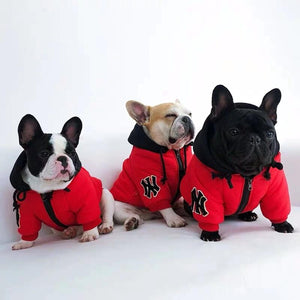 Three French Bulldogs wearing red NY Yankees Pupreme jackets with black hoods